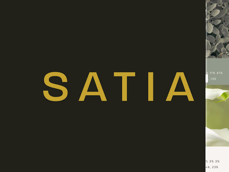 Cover image for SATIA | Brand Identity