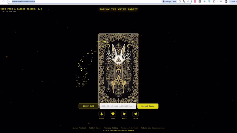 Cover image for Follow the White Rabbit: A