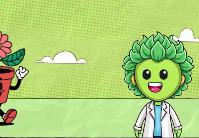 Cover image for Developed a custom promotional animation