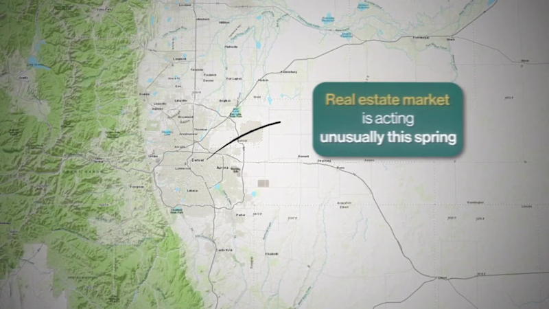 Cover image for Created for Colorado realtor Heather,