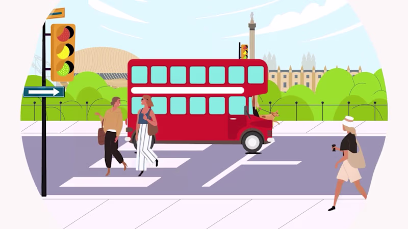 Cover image for NIHR-The Story of Brand Student