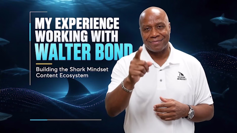 Cover image for Building the Shark Mindset Content Ecosystem