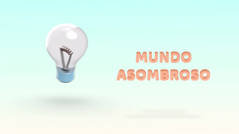 Cover image for Programa Cazadores de Secretos 