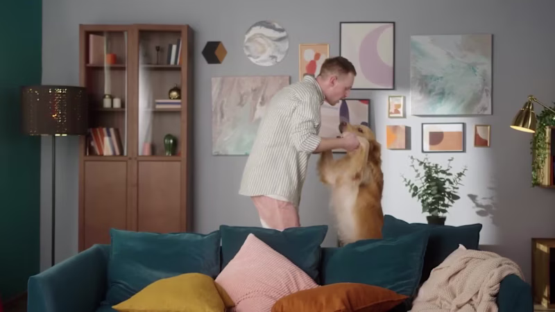 Cover image for Zesty Paws Promotional Video