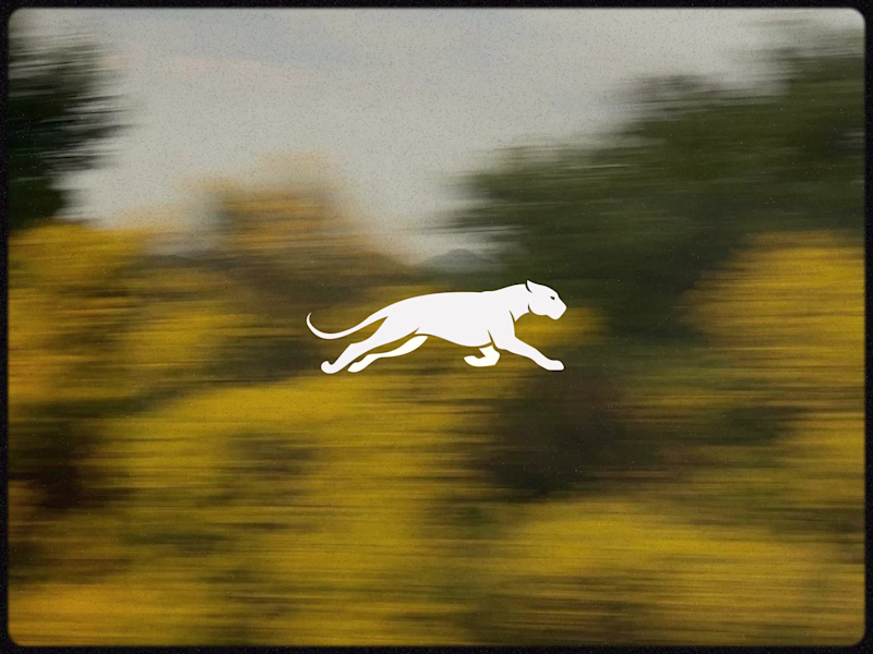 Cover image for Jaguar Logo.