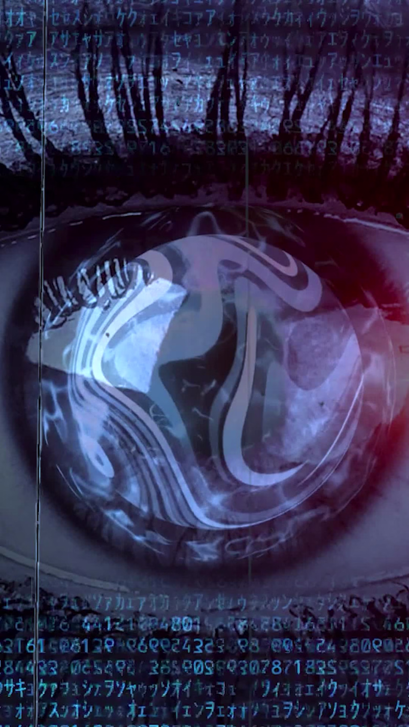Cover image for The Third Eye Protocol |