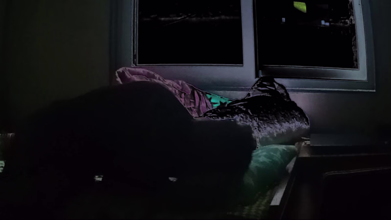 Cover image for this is my own youtube video