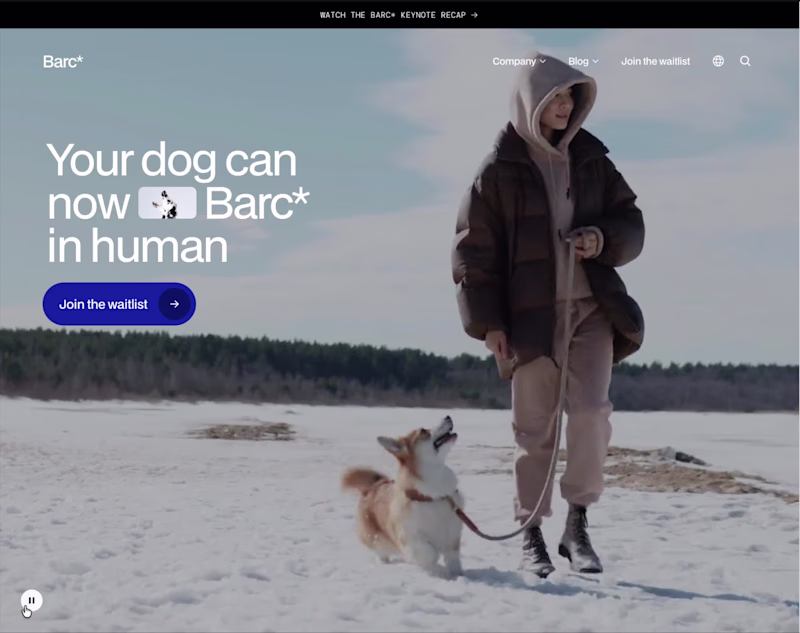 Cover image for This website is a playful,