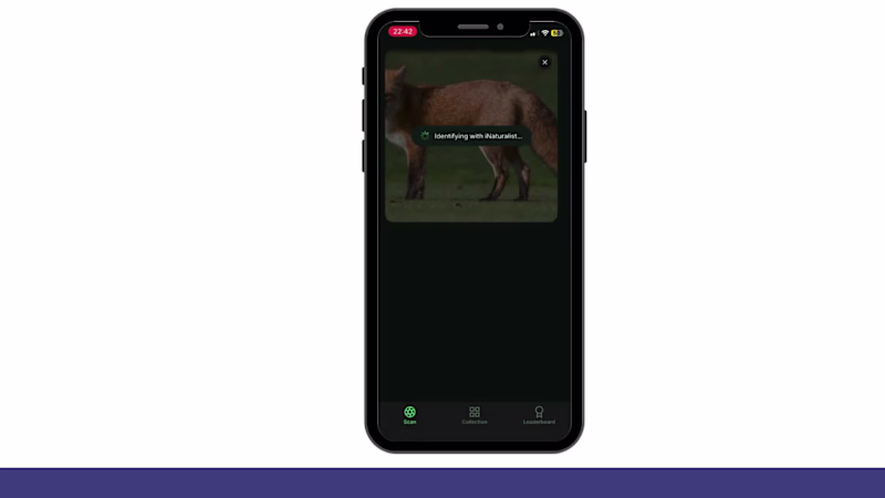 Cover image for Got a powerful app idea