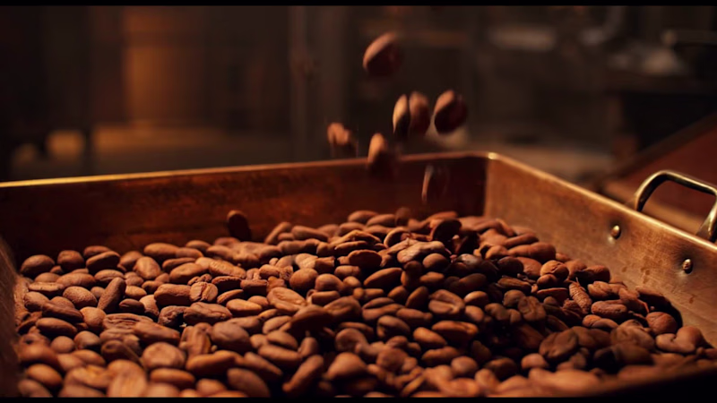 Cover image for REEL FOOD ADVERTISING