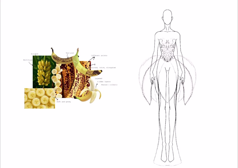 Cover image for The Banana Collection — a