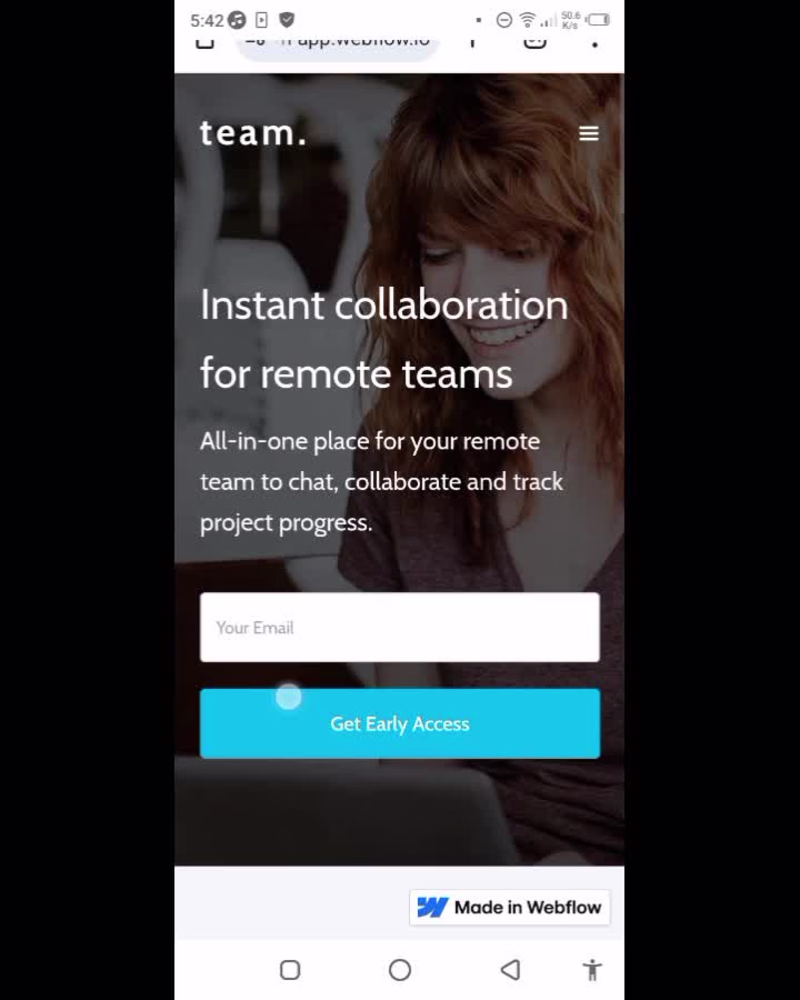 Cover image for Webflow CMS Website with Blog