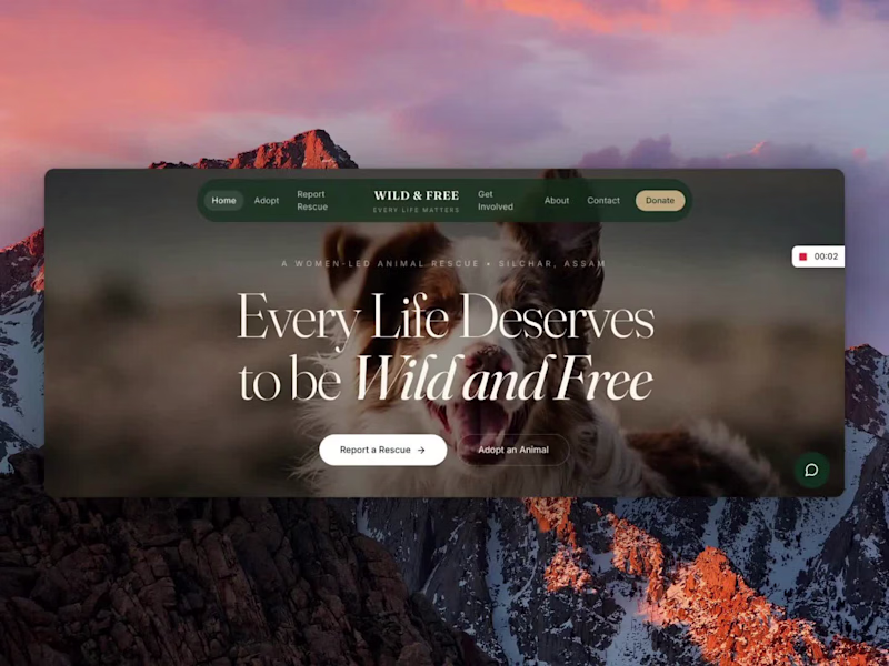 Cover image for Rebuilding an Animal Shelter's Entire Digital Operation