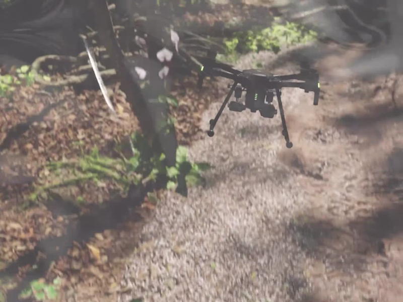 Cover image for LuckyRobots Monthly Update Dev Vlog - YouTube