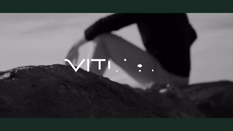 Cover image for Vittaru