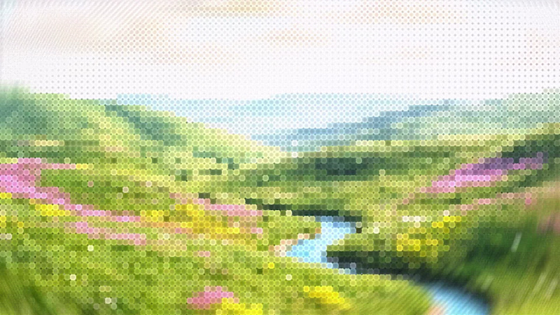 Cover image for This was actually my second