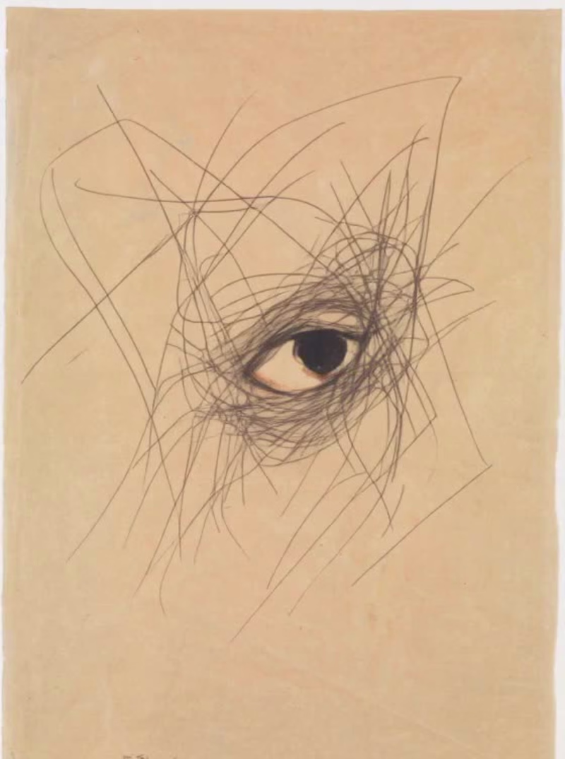 Cover image for THE BODY THAT COULDN’T ESCAPE
MUSEUM