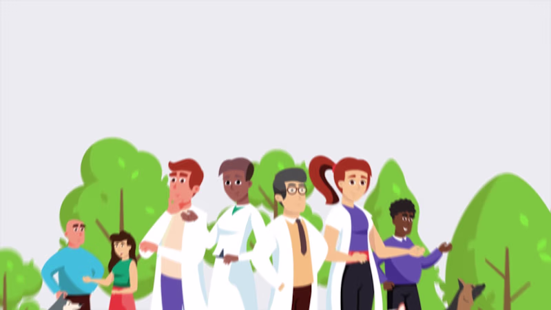 Cover image for Character Animation & Motion Design | WSAVA