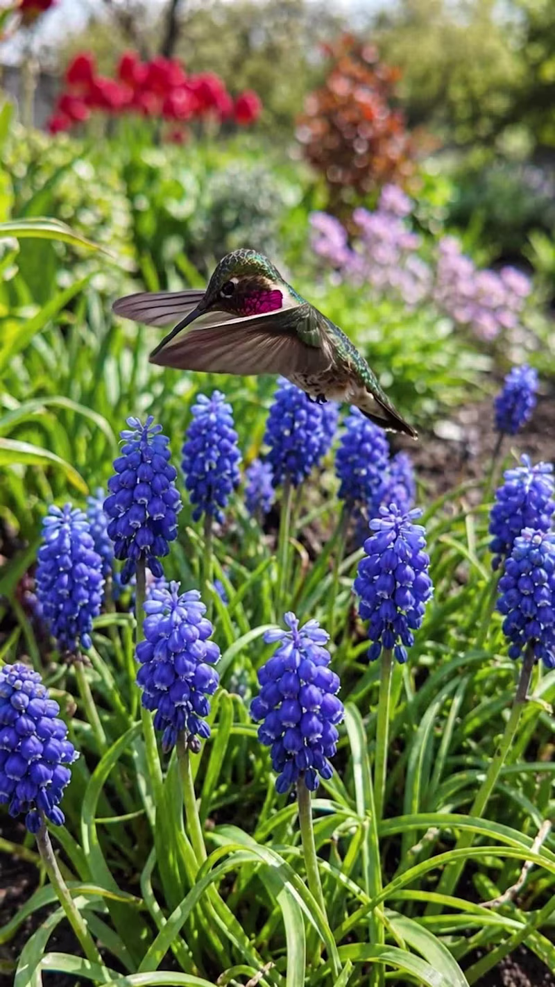 Cover image for Mom's Garden Magic — AI