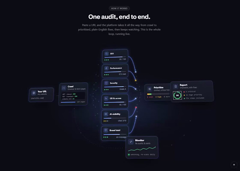 Cover image for Website Performance and Visibility Auditing Platform