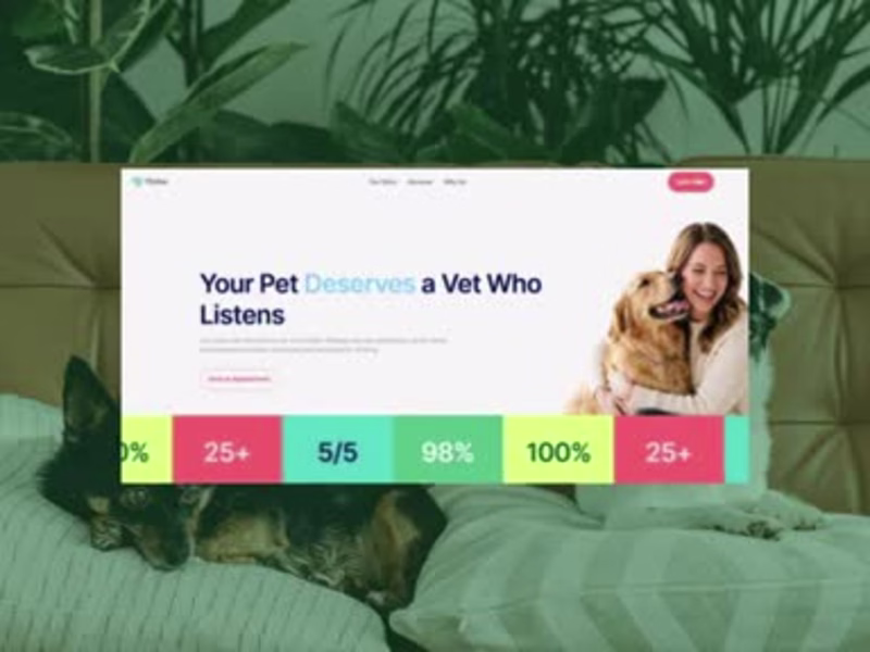 Cover image for Thrive Vet