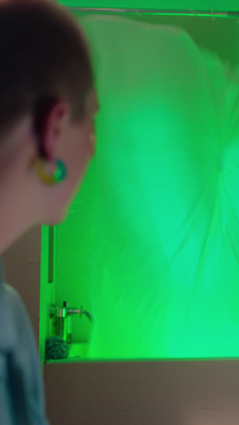 Cover image for  Webby Award-Winning Social Commerce Campaign at Wish