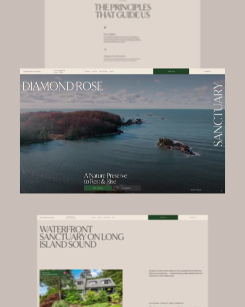Cover image for Diamond Rose Sanctuary. A digital