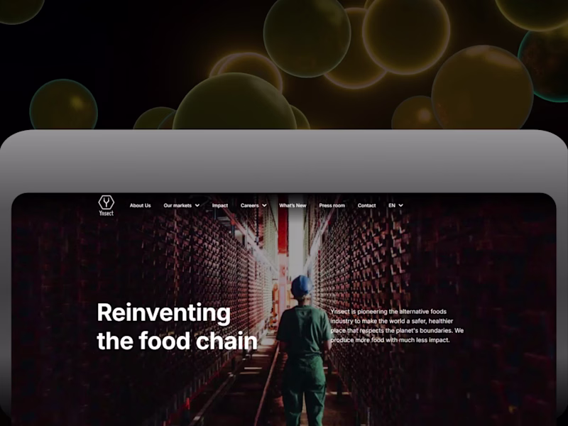 Cover image for The Ÿnsect website is a