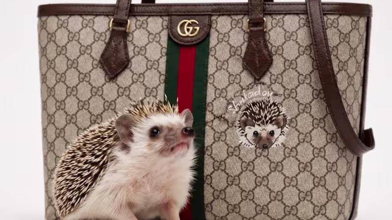 Cover image for AI-Generated Luxury Fashion Ad |
