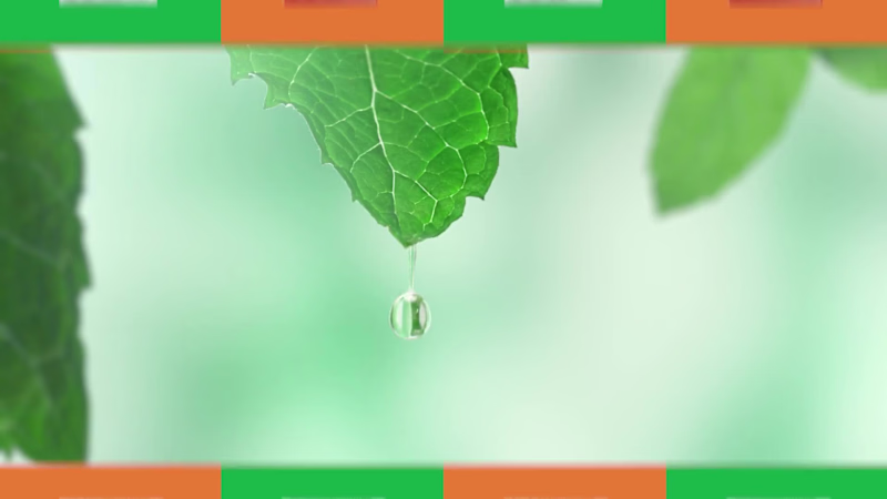 Cover image for Tic Tac Dubai