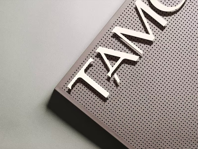Cover image for Full branding and visual identity for Tamodi.